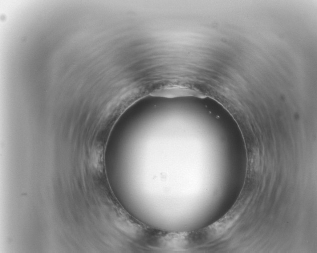 X0000088430138200705291534