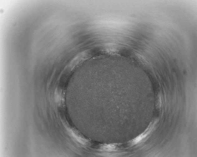 X0000088430140200705291534