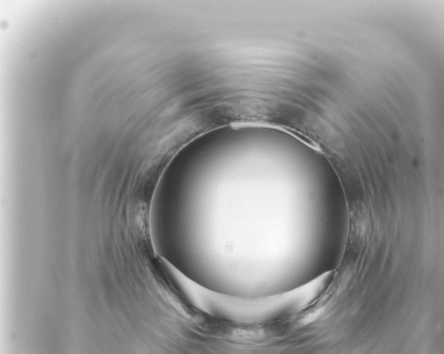 X0000088430141200705291534