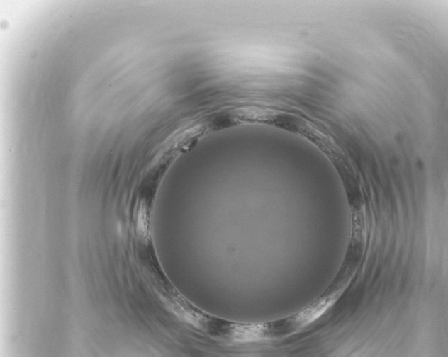 X0000088430143200705291534