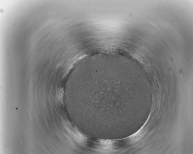 X0000088430144200705291534