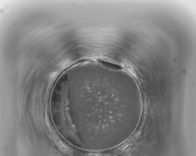 X0000088430145200705291533