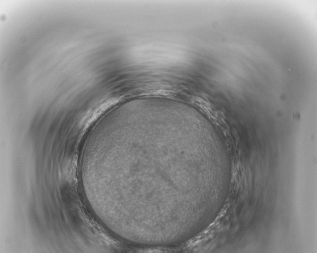 X0000088430146200705291533