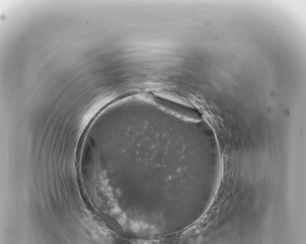 X0000088430147200705291533