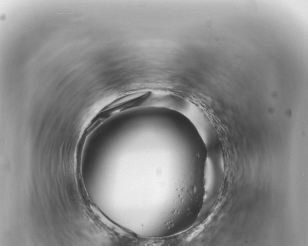 X0000088430148200705291533