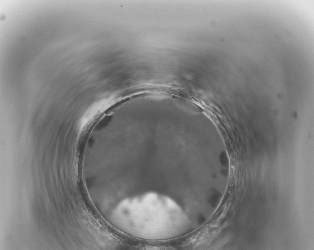 X0000088430149200705291533