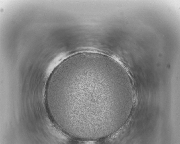 X0000088430151200705291533