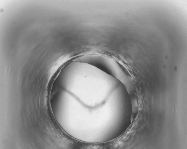 X0000088430152200705291533