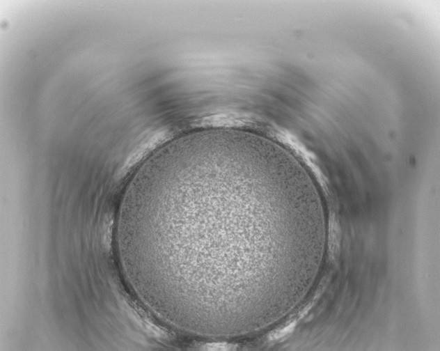 X0000088430153200705291533