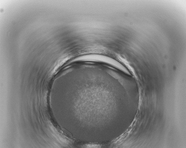 X0000088430154200705291533