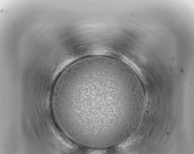 X0000088430155200705291534