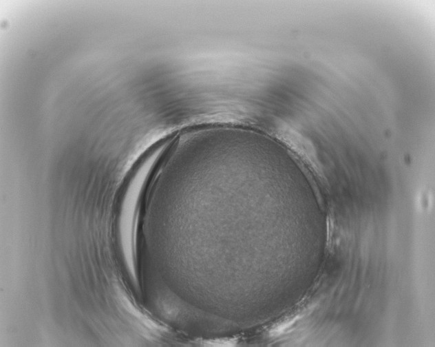 X0000088430156200705291534