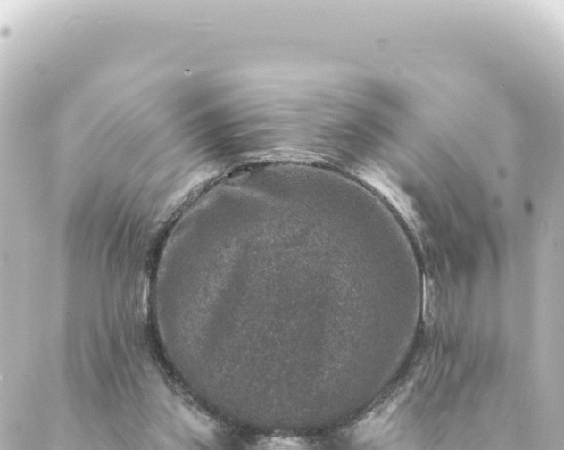 X0000088430157200705291534