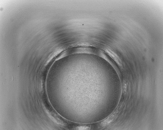 X0000088430158200705291534