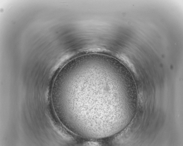 X0000088430159200705291534