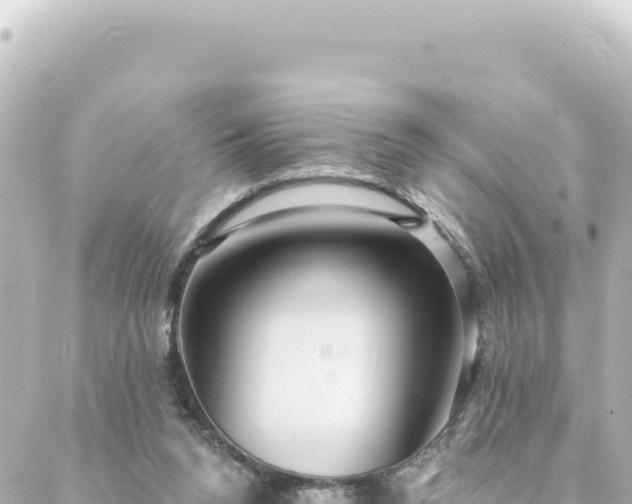 X0000088430160200705291534