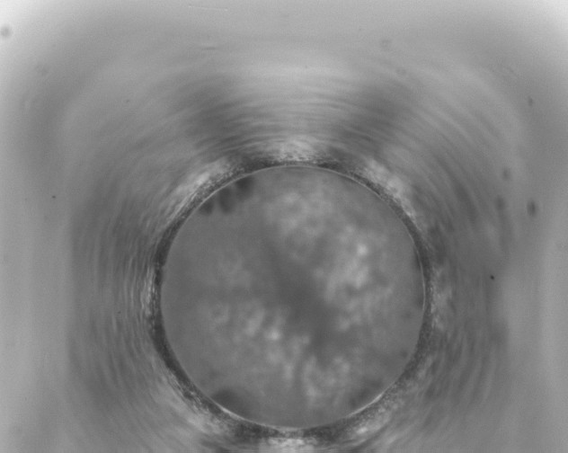 X0000088430161200705291534