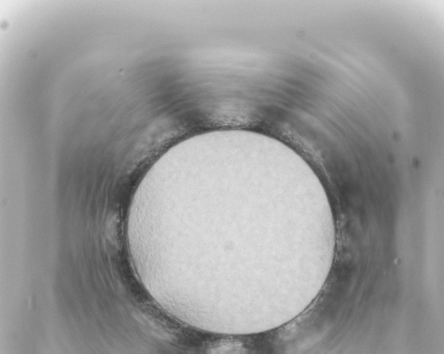 X0000088430162200705291534