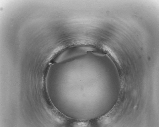 X0000088430163200705291534