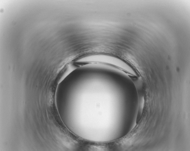 X0000088430164200705291534