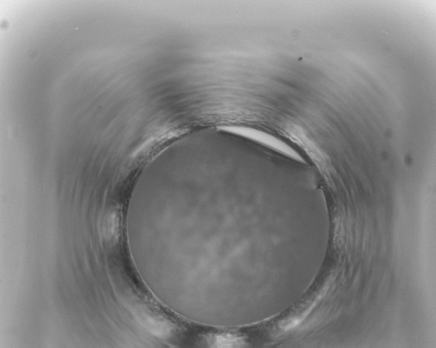 X0000088430165200705291534