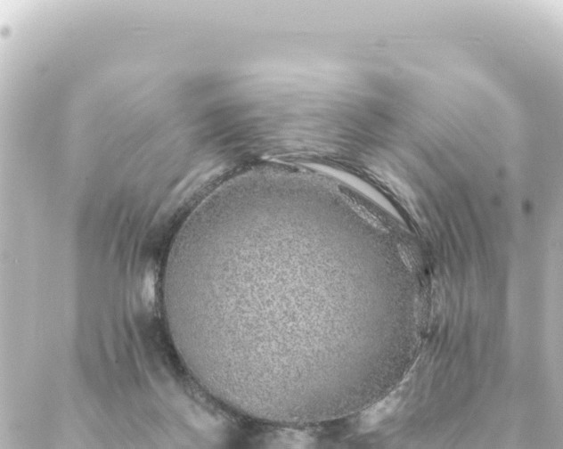 X0000088430166200705291534