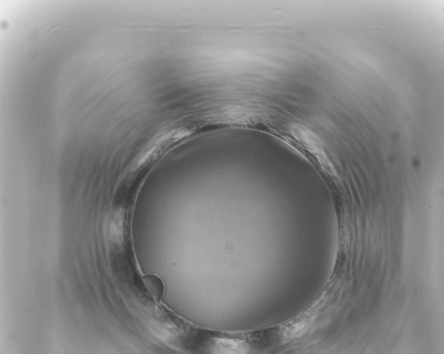 X0000088430167200705291534