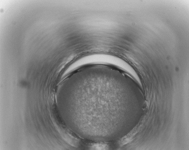 X0000088430168200705291534