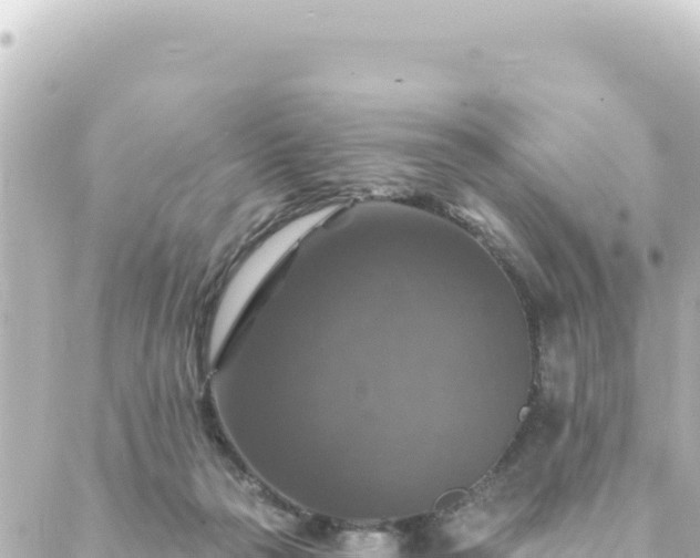 X0000088430169200705291534