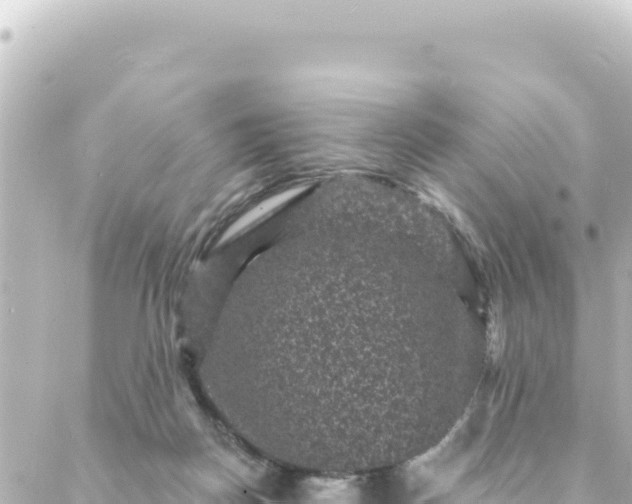 X0000088430170200705291534