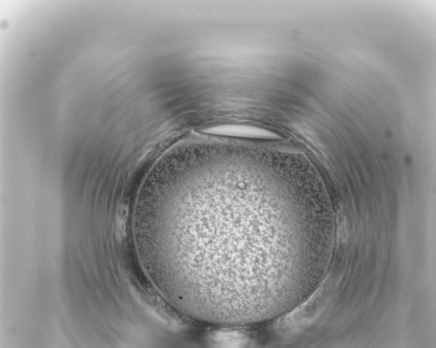 X0000088430171200705291534