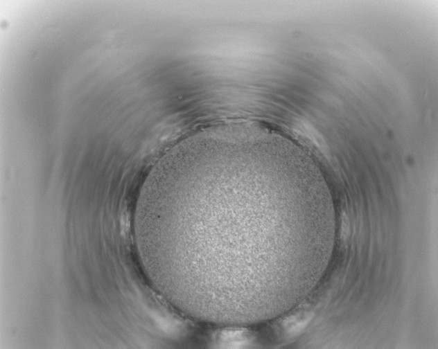 X0000088430173200705291534