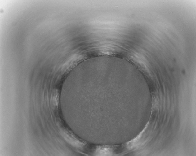 X0000088430174200705291534