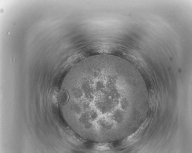 X0000088430175200705291534