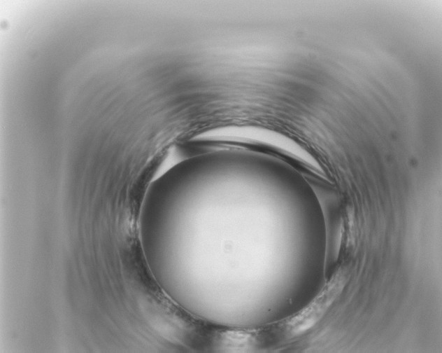 X0000088430176200705291534