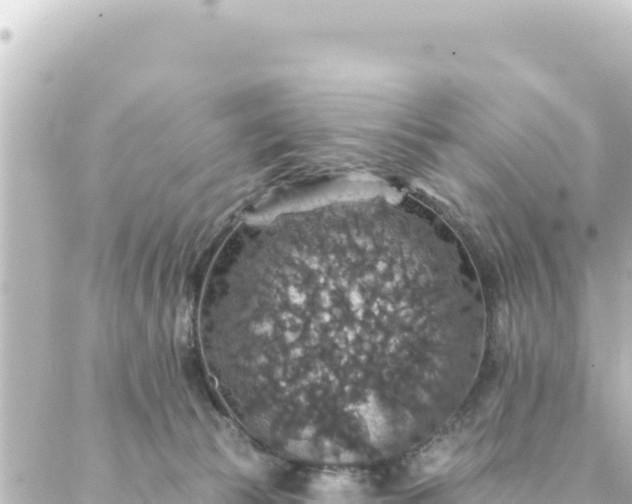 X0000088430177200705291534