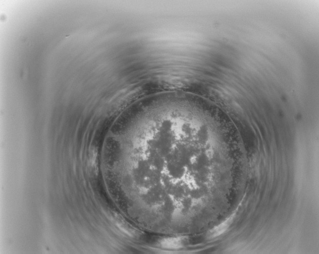 X0000088430178200705291534