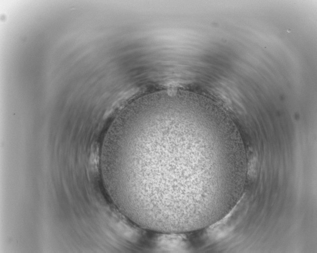 X0000088430179200705291534