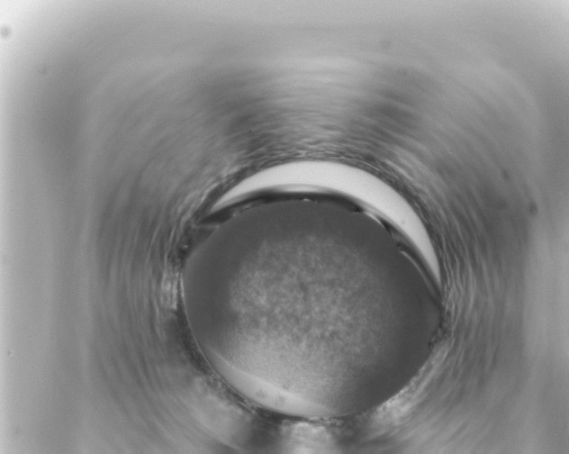 X0000088430180200705291534