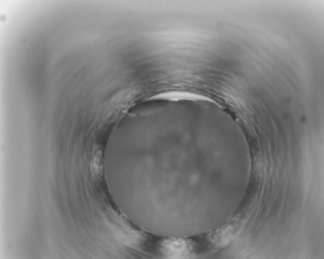 X0000088430181200705291534