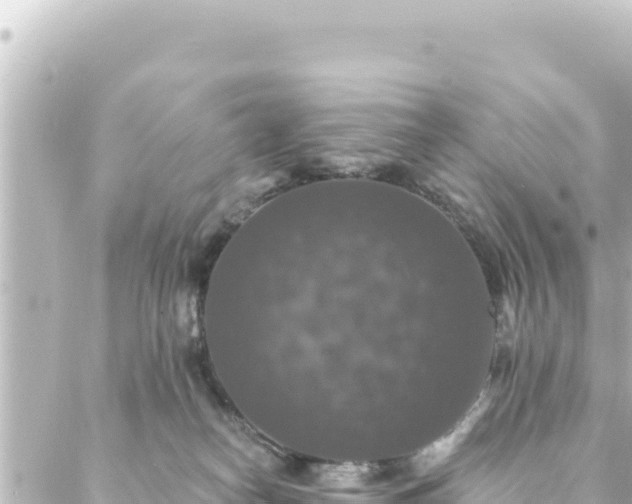 X0000088430182200705291534