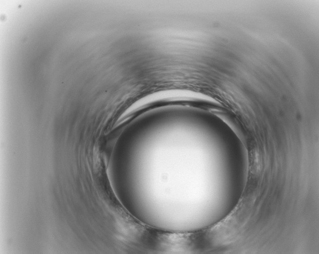 X0000088430184200705291534