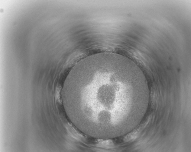 X0000088430185200705291534