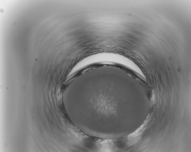 X0000088430186200705291534