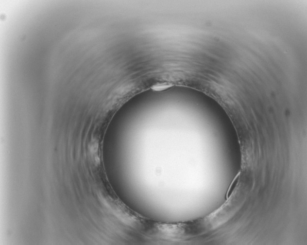 X0000088430187200705291534