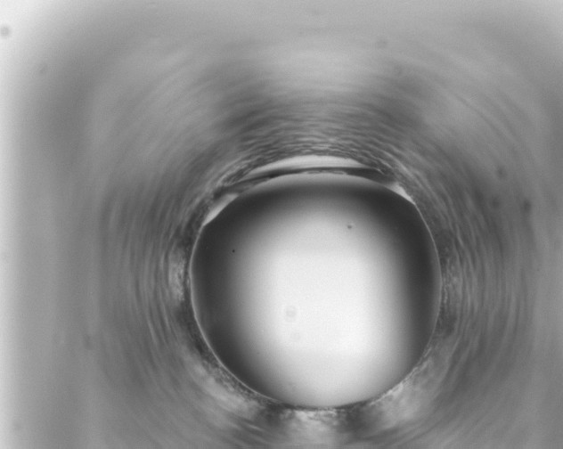 X0000088430188200705291534