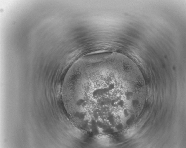 X0000088430189200705291534