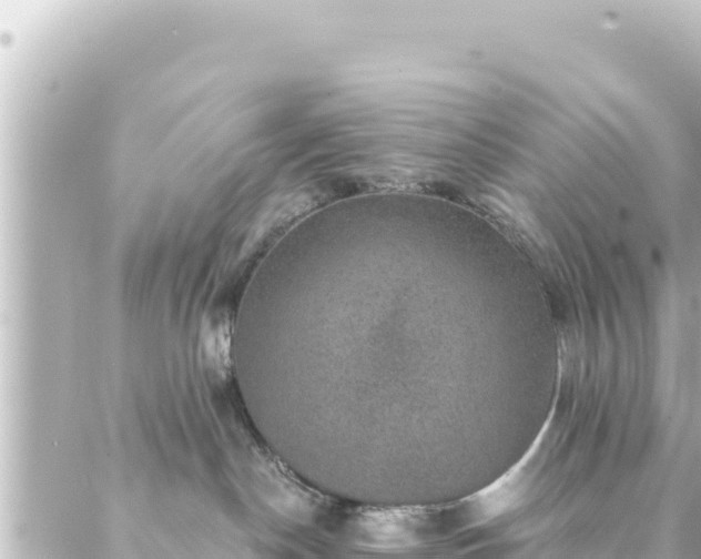 X0000088430190200705291534