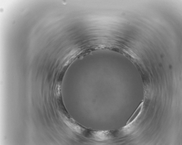 X0000088430191200705291534