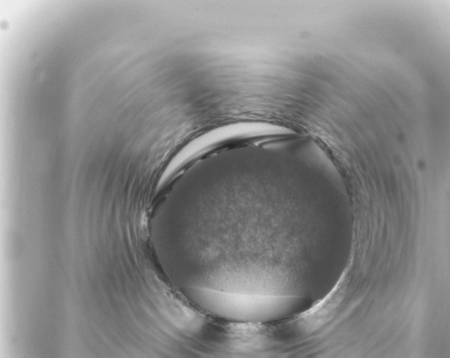 X0000088430192200705291534